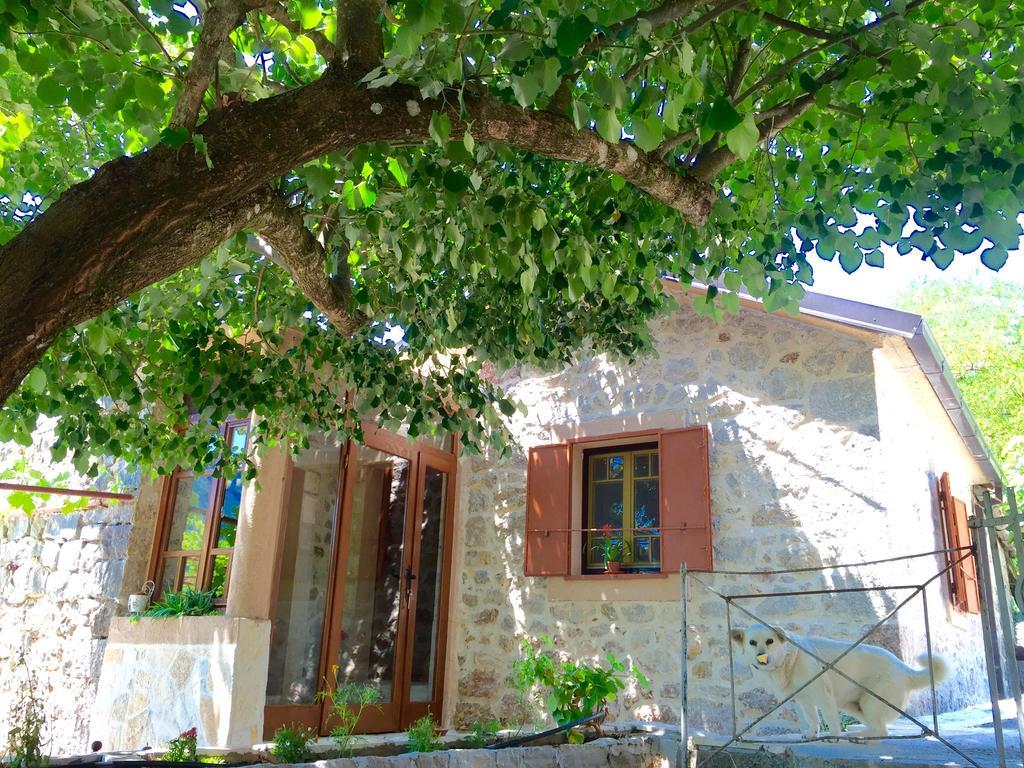 Ethno House Ivanovic Virpazar Buitenkant foto